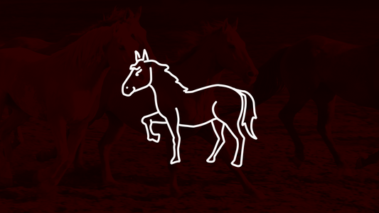 How to Use Red Light Therapy for Horses (and What To Use It For)