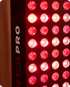 biomax-pro-ultra-+-ultra_4